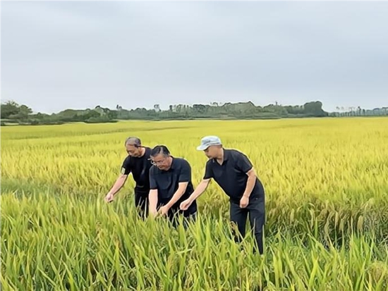 光山县罗陈乡：科技特派员助力乡村振兴